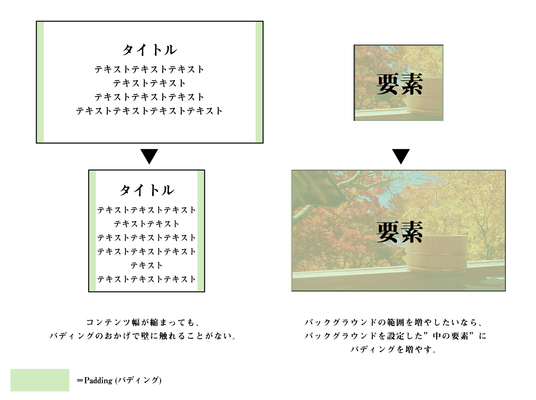 paddingの説明のイメージ
